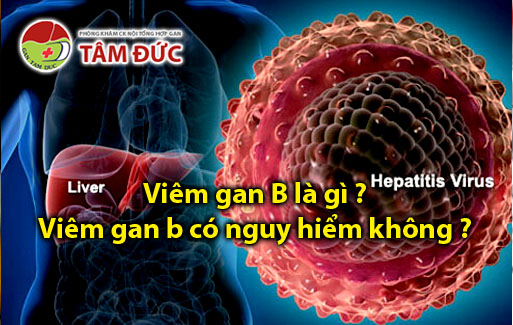 Viêm gan B là gì ? Viêm gan B có nguy hiểm không ? 1 viem gan b la gi viem gan b co nguy hiem khong