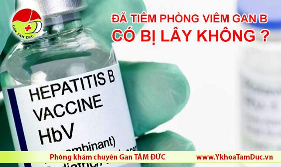 Tiêm phòng viêm gan B rồi có bị lây không viêm gan siêu vi b