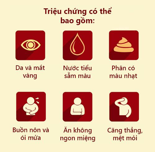viem gan c infographic