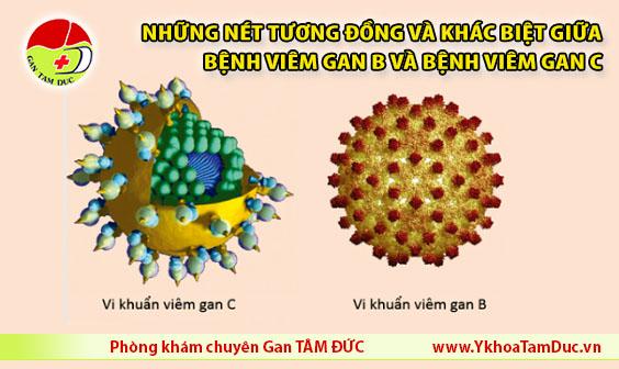 bệnh viêm gan B bệnh viêm gan C HBV HCV