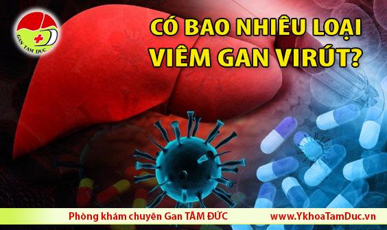 co may loai viem gan virus viem gan a viem gan b viem gan c