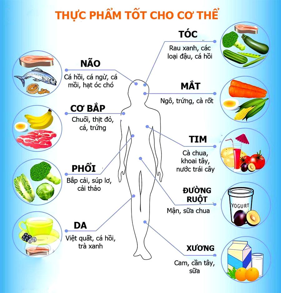 Thực phẩm tốt cho từng bộ phận cơ thể người 1 cac thuc pham tot cho tung bo phan co the