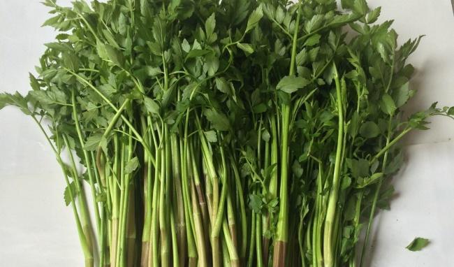 Bệnh Gút ăn rau gì? 5 benh gut an rau gi rau can