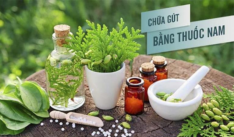 Chữa bệnh gút bằng đông y 4 chua benh gut bang thuoc nam