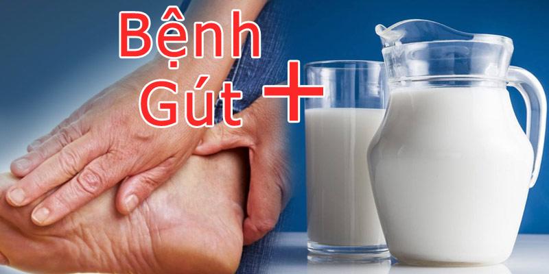 Bệnh Gút nên uống sữa gì 2 Benh gut nen uong sua gi