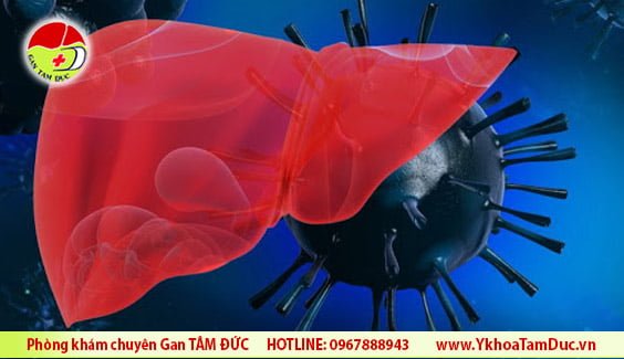 viem gan b man tinh covid-19 gan tam duc