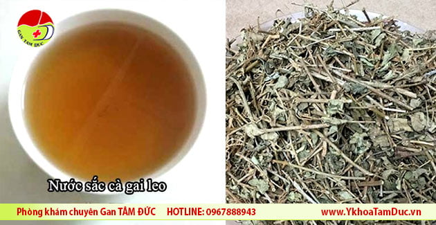 nuoc sac ca gai leo
