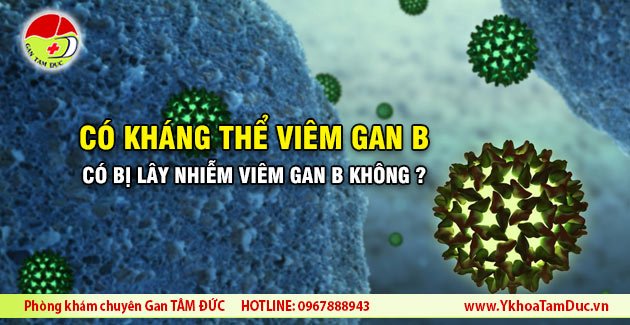 co khang the viem gan b co the bi lay viem gan b khong