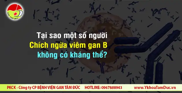 chich ngua viem gan b khong co khang the