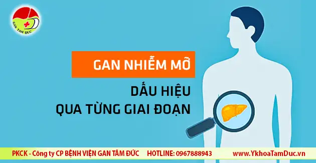 dau hieu gan nhiem mo qua tung giai doan