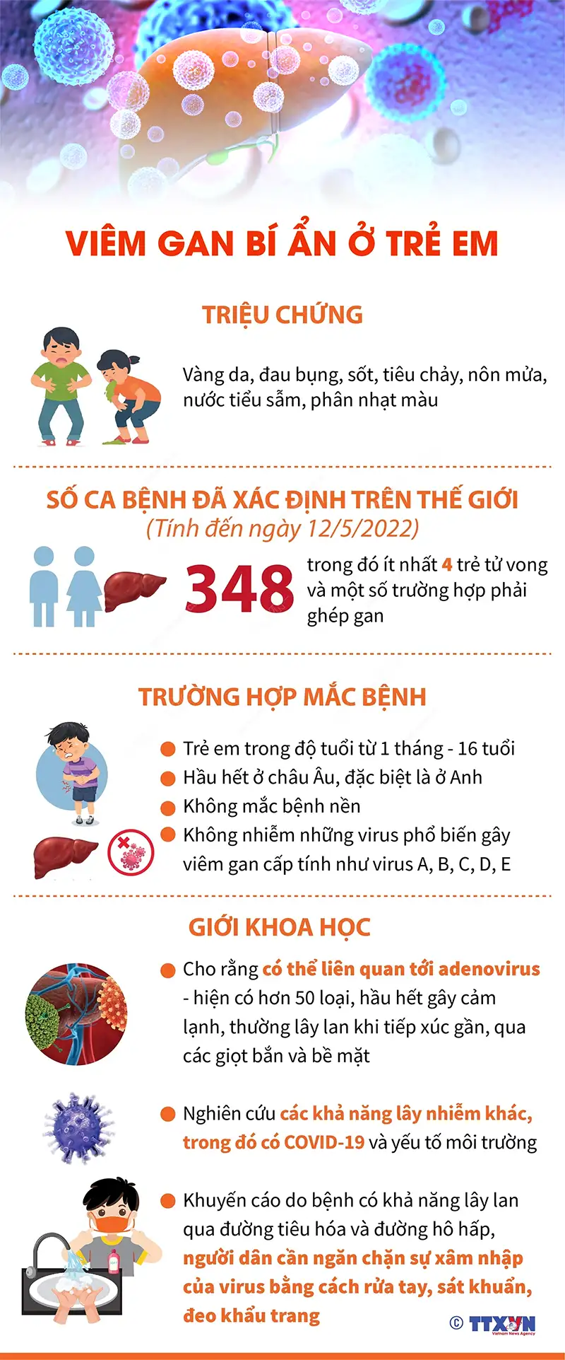 infographic viem gan bi an o tre em
