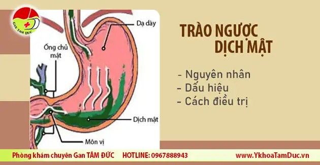 trao nguoc dich mat la gi
