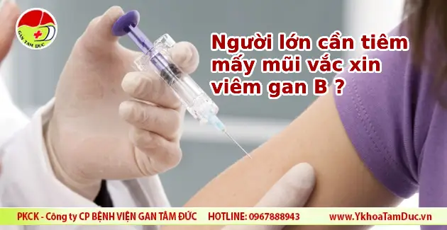 nguoi lon can tiem may mui vac xin viem gan b