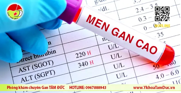 nguyen nhan men gan cao