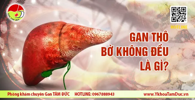 gan tho bo khong deu la gi