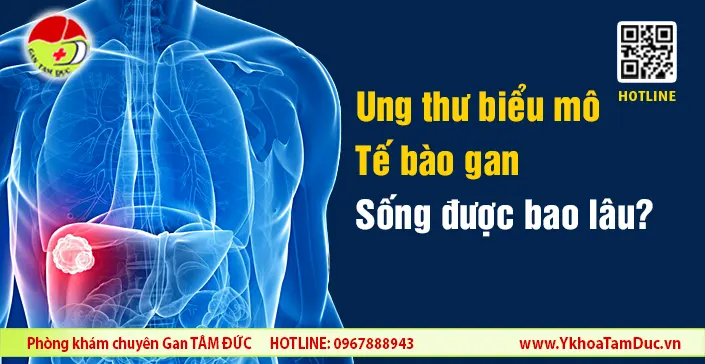 Ung thư biểu mô tế bào gan sống được bao lâu
