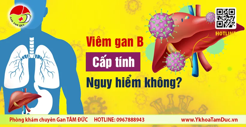 Viêm gan B cấp tính có nguy hiểm không? 1 Viêm gan B cấp tính có nguy hiểm không