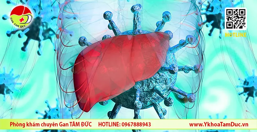 COVID-19 ảnh hưởng đến gan như thế nào