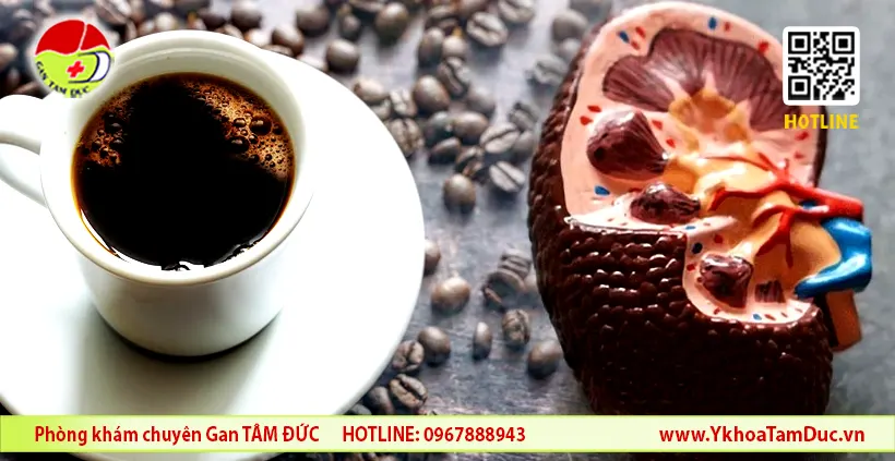 Uống cà phê có hại thận không? 6 Uống cà phê có hại thận không?