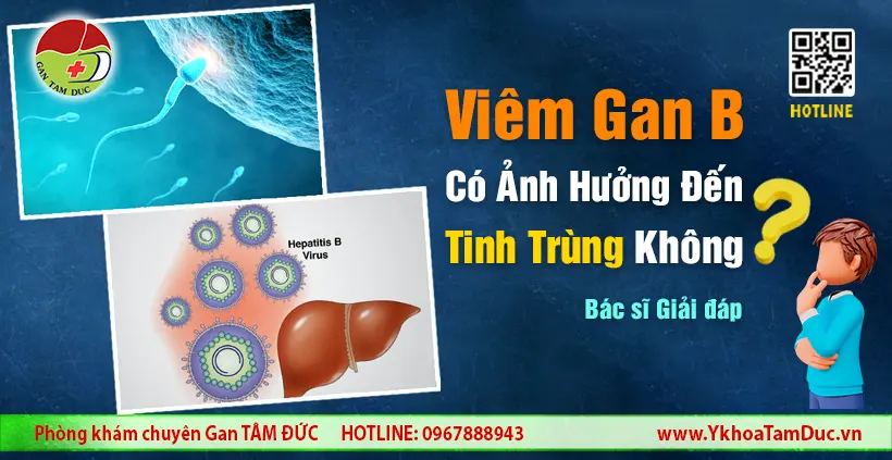 Viêm Gan B Có Ảnh Hưởng Đến Tinh Trùng Không?