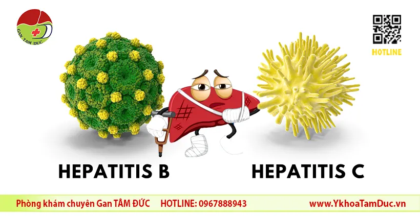 Đồng Nhiễm Viêm Gan B và C (HBV/HCV): 8 Câu Hỏi Thường Gặp - Giải Đáp Cùng Chuyên Gia 2 Đồng Nhiễm Viêm Gan B và C: 8 Câu Hỏi Thường Gặp