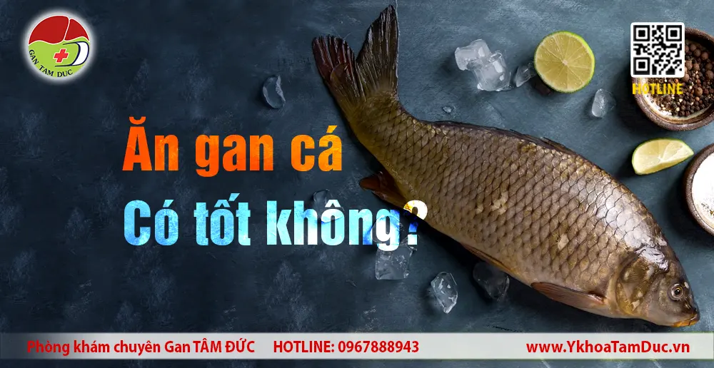 Ăn gan cá có tốt không – lợi ích và nguy cơ với sức khỏe gan