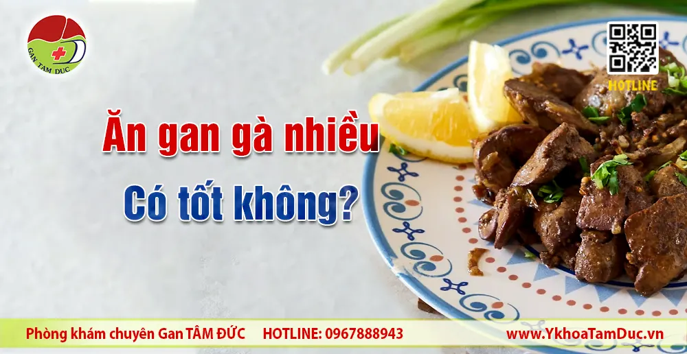 Ăn gan gà nhiều có tốt không? Phân tích y khoa từ Bác sĩ Mỹ Dung 6 Món gan gà và câu hỏi ăn gan gà nhiều có tốt không cho sức khỏe gan