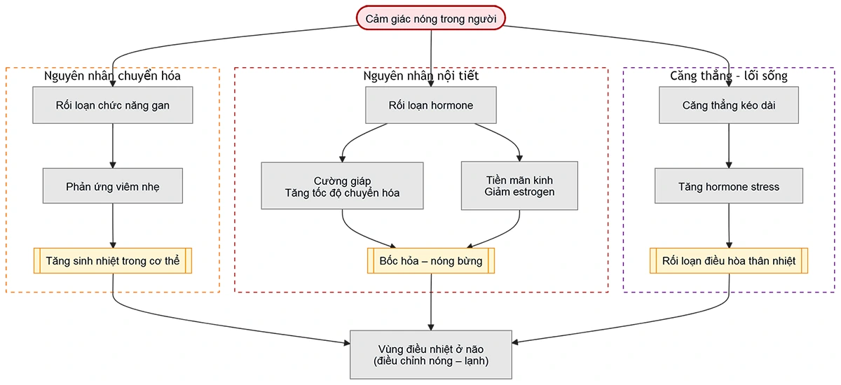 Cảm giác nóng trong người là dấu hiệu gì? Nguyên nhân & cách xử lý 2 Sơ đồ nguyên nhân cảm giác nóng trong người gồm rối loạn gan, nội tiết và căng thẳng ảnh hưởng đến điều hòa thân nhiệt