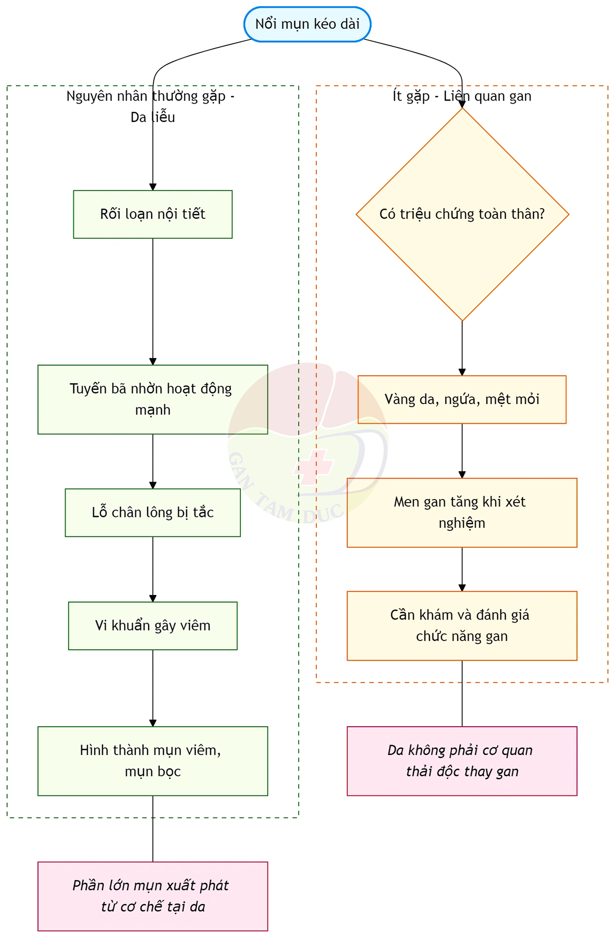 Mối liên hệ giữa gan và biểu hiện mụn trên da
