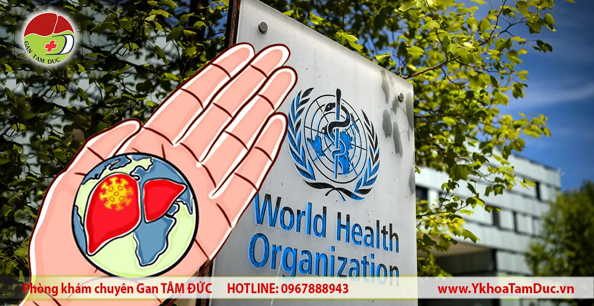 Biển hiệu Tổ chức Y tế Thế giới WHO và minh họa gan bị ảnh hưởng bởi virus