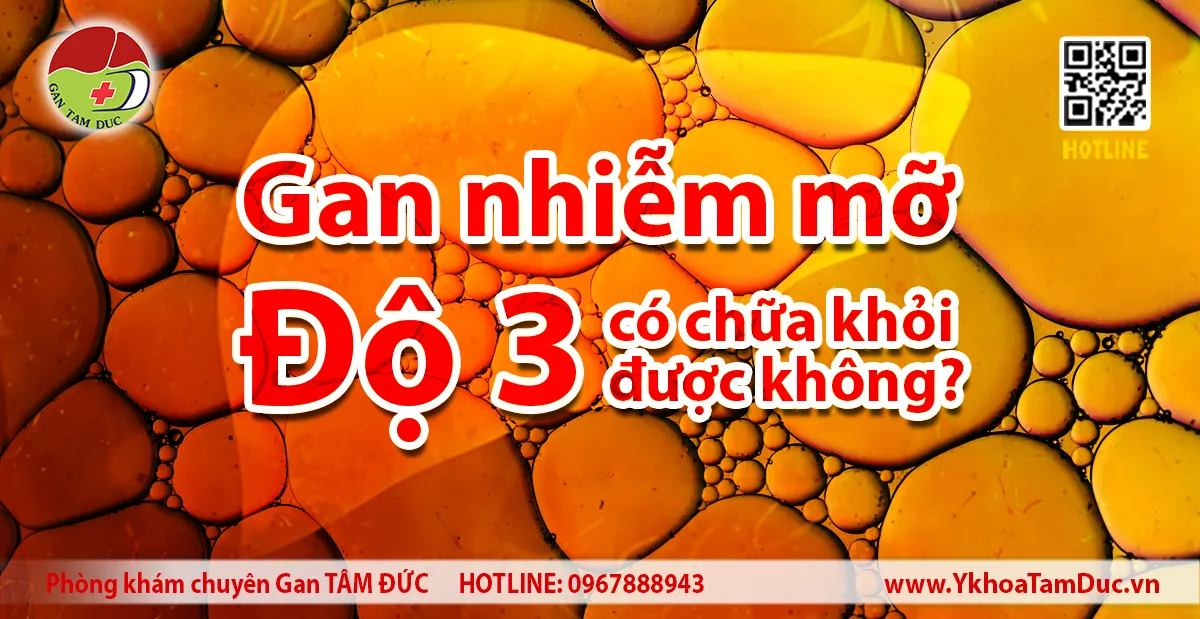 Gan nhiễm mỡ độ 3 có chữa khỏi được không? 11 Hình minh họa gan nhiễm mỡ độ 3 với câu hỏi có chữa khỏi được không