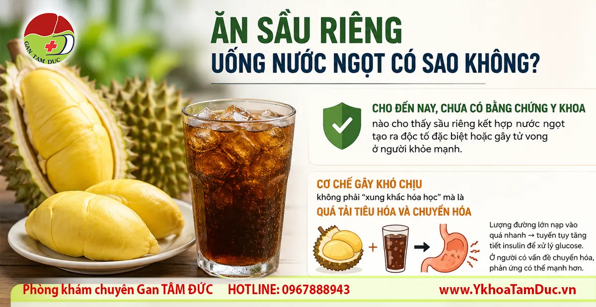 Infographic giải thích ăn sầu riêng uống nước ngọt có thể gây đầy bụng, khó tiêu và tăng tải đường nhưng chưa có bằng chứng gây ngộ độc ở người khỏe mạnh