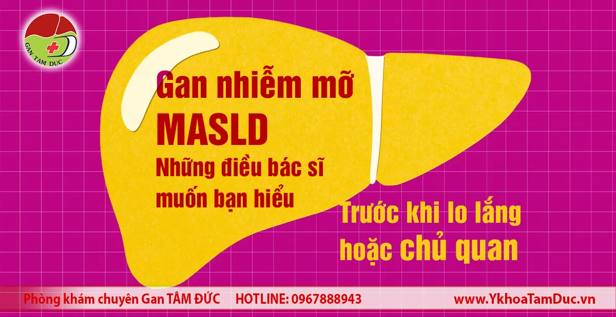 Banner về bệnh gan nhiễm mỡ MASLD và những điều người bệnh cần hiểu trước khi lo lắng hoặc chủ quan