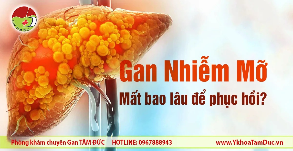 Bệnh gan nhiễm mỡ mất bao lâu để phục hồi? 8 Minh họa gan nhiễm mỡ với tích tụ mỡ trong tế bào gan và câu hỏi về thời gian phục hồi