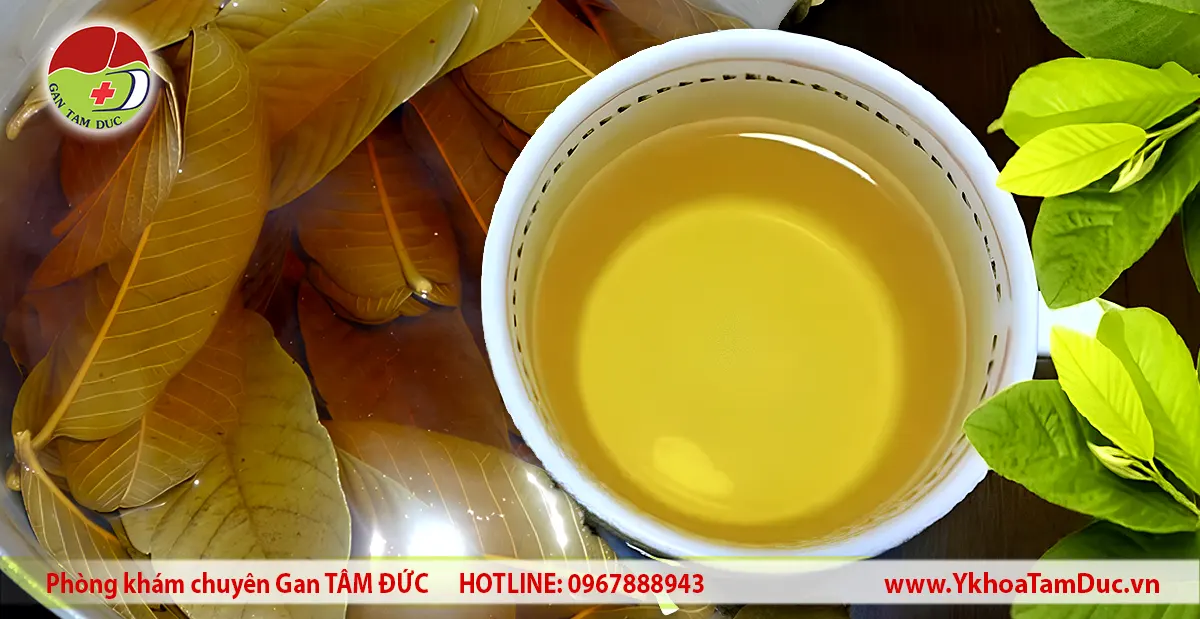 Uống Nước Lá Ổi Có Tốt Cho Gan Không? Góc Nhìn Từ Bằng Chứng Y Khoa Và Thực Hành Lâm Sàng 1 Nước lá ổi được pha từ lá ổi tươi trong cốc dùng để minh họa nội dung về sức khỏe gan