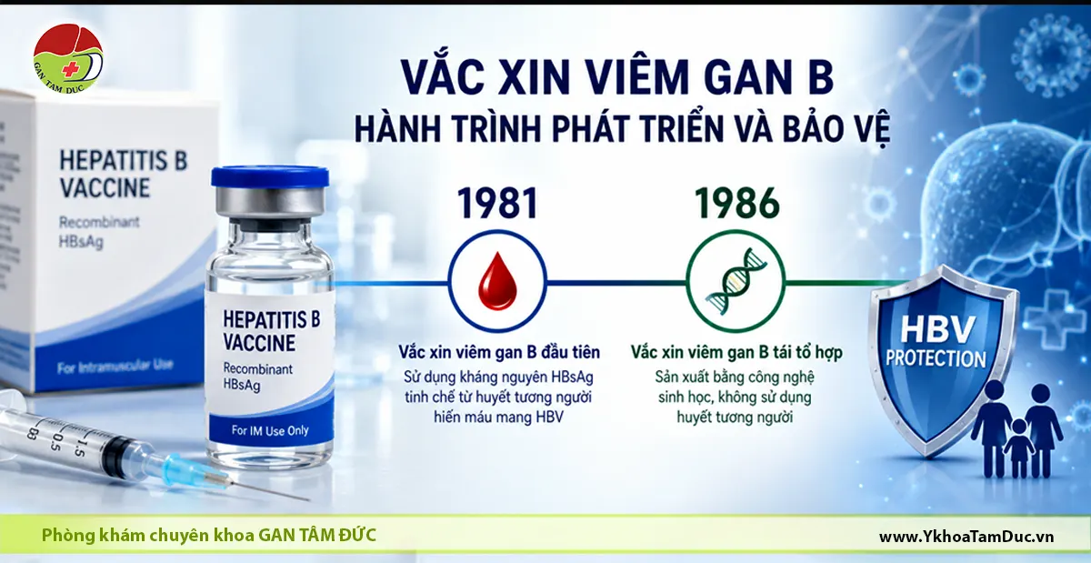 Vắc xin viêm gan B có từ bao giờ? Vì sao có hai mốc 1981 và 1986? 1 Infographic minh họa lịch sử phát triển vắc xin viêm gan B với hai mốc năm 1981 là vắc xin từ huyết tương người và năm 1986 là vắc xin tái tổ hợp sử dụng công nghệ ADN tái tổ hợp.