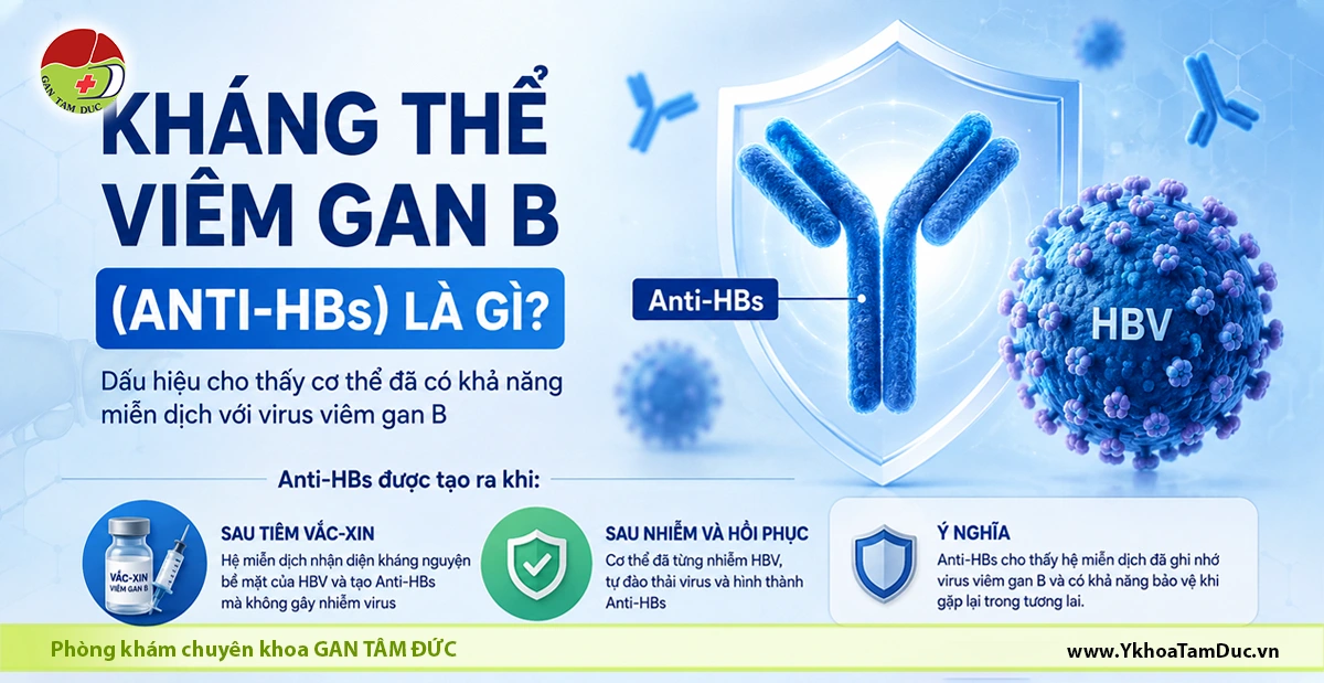 Kháng thể viêm gan B là gì? Hiểu đúng về Anti-HBs 1 Infographic giải thích kháng thể viêm gan B (Anti-HBs), cách hình thành sau tiêm vắc-xin hoặc sau khi hồi phục từ nhiễm HBV và ý nghĩa của chỉ số này trong miễn dịch.