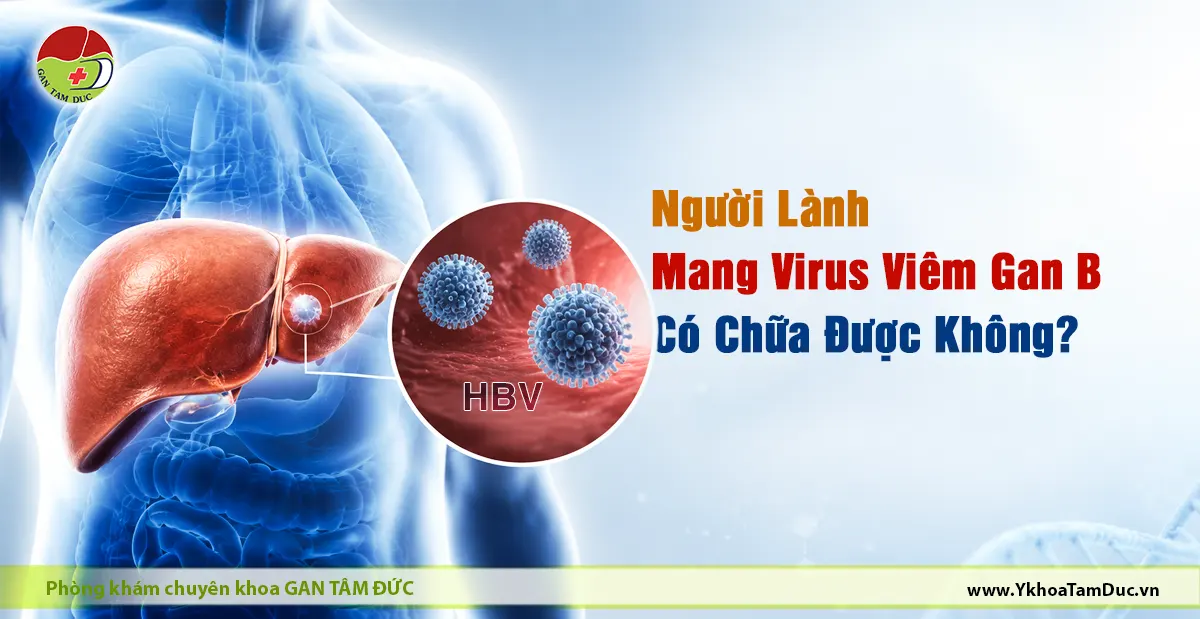 Người Lành Mang Virus Viêm Gan B Có Chữa Được Không? 1 Minh họa gan và virus viêm gan B trong chủ đề người lành mang virus viêm gan B