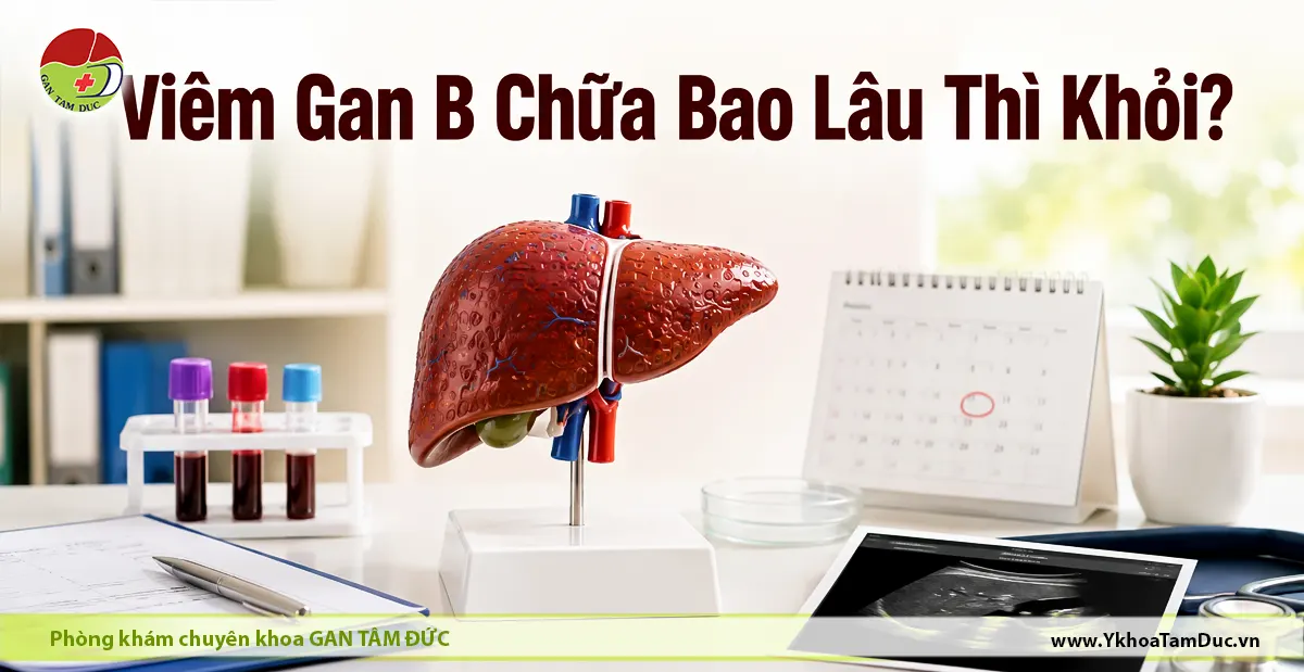 Viêm Gan B Chữa Bao Lâu Thì Khỏi? 1 Mô hình gan và các vật dụng y tế minh họa việc đánh giá viêm gan B và thời gian điều trị, theo dõi