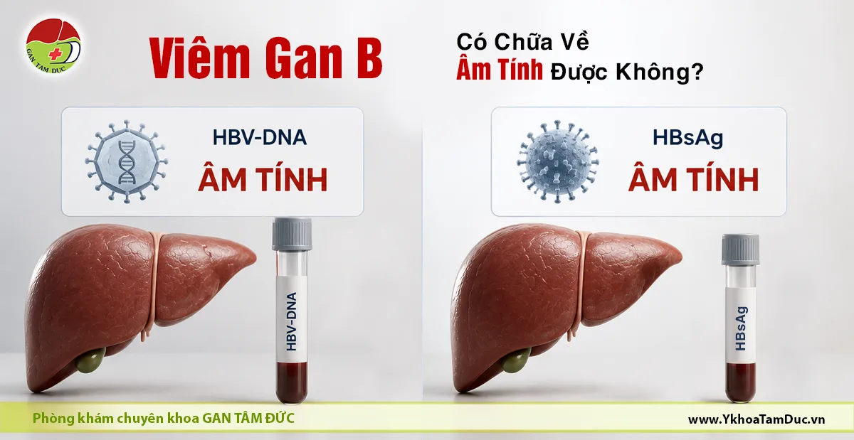 Viêm Gan B Có Chữa Về Âm Tính Được Không? Góc Nhìn Chuyên Khoa Gan Mật 1 Minh họa HBV-DNA âm tính và HBsAg âm tính trong viêm gan B