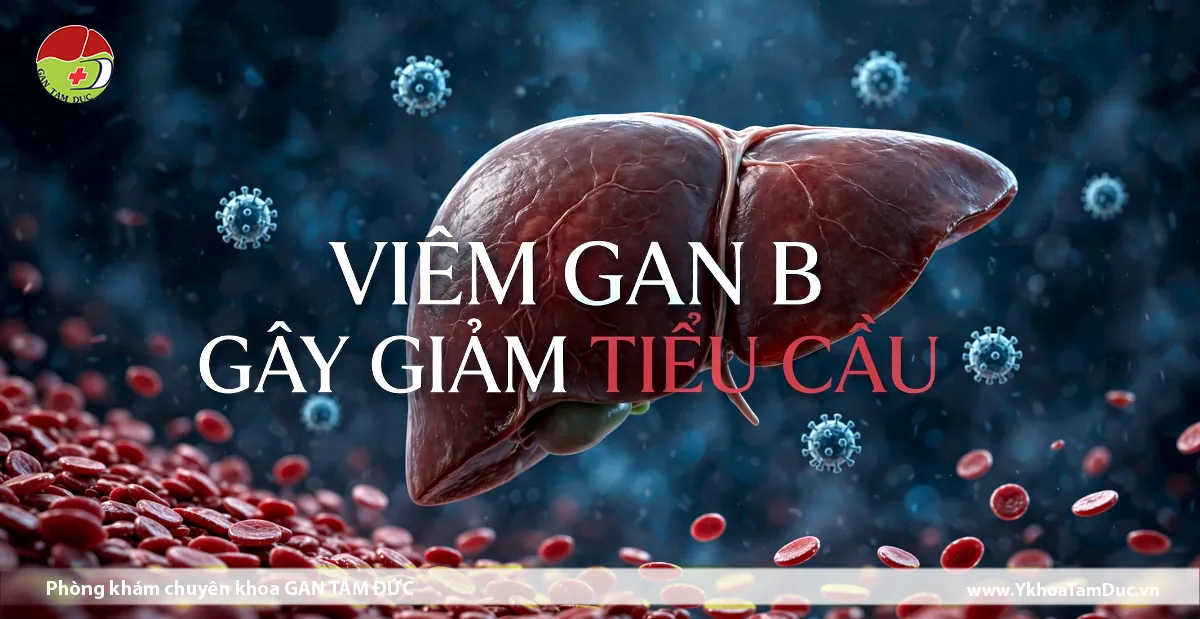 Viêm gan B gây giảm tiểu cầu: Nguyên nhân và đánh giá 1 Gan người với vi rút viêm gan B và tế bào máu, minh họa viêm gan B có thể gây giảm tiểu cầu