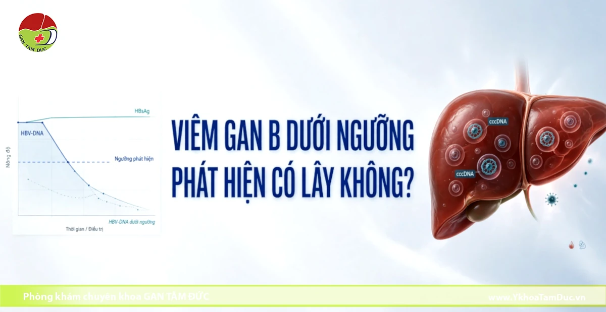 Minh họa HBV-DNA giảm dưới ngưỡng phát hiện trong viêm gan B, cùng HBsAg và cccDNA trong gan