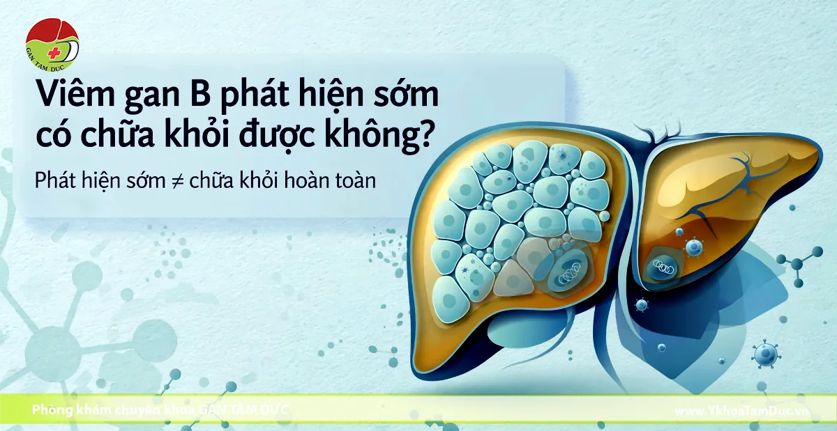 Viêm Gan B Phát Hiện Sớm Có Chữa Khỏi Được Không? 1 Hình minh họa cấu trúc lá gan bị tổn thương do virus viêm gan B và biểu ngữ giải đáp thắc mắc về khả năng điều trị khỏi khi phát hiện bệnh ở giai đoạn sớm.
