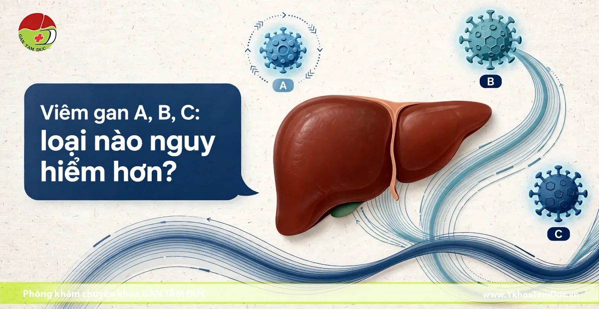 Viêm gan A, B, C: Loại nào nguy hiểm hơn? 1 Mô hình minh họa gan người cùng các cấu trúc virus viêm gan A, B và C kèm dòng chữ hỏi loại nào nguy hiểm hơn.