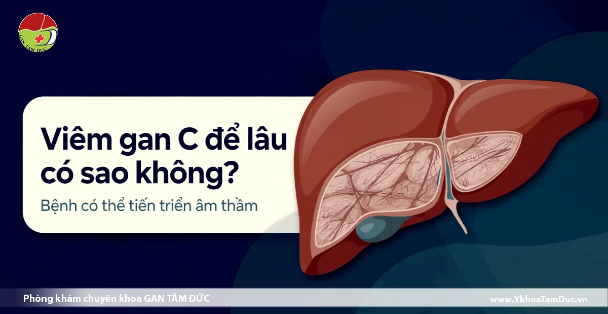 Viêm gan C để lâu có sao không? 1 Hình ảnh minh họa giải phẫu gan người kèm văn bản giải thích bệnh viêm gan C để lâu có sao không và cảnh báo bệnh tiến triển âm thầm