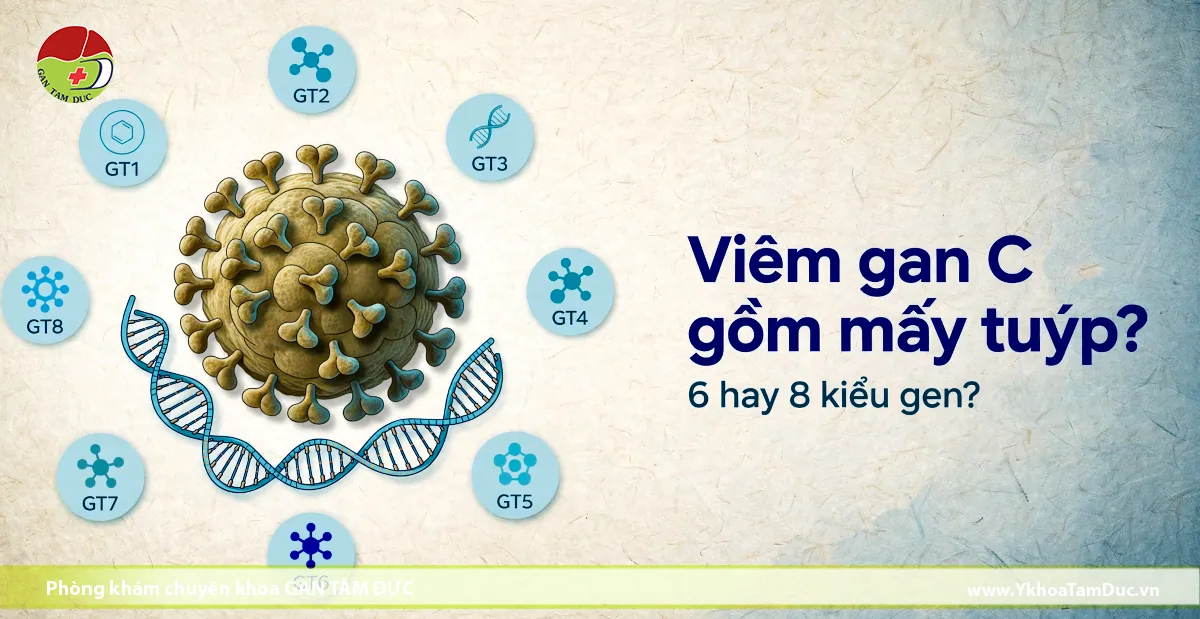 Viêm gan C gồm mấy tuýp? Có 6 hay 8 kiểu gen? 1 Sơ đồ cấu trúc virus viêm gan C và các phân nhóm kiểu gen từ GT1 đến GT8 theo phân loại học quốc tế.