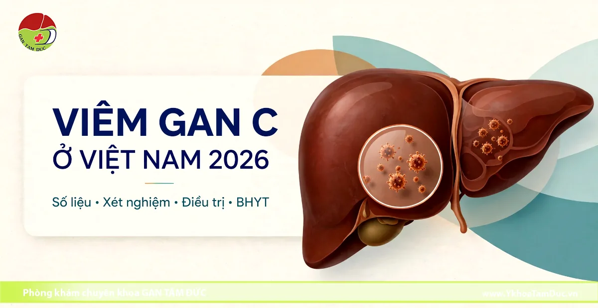 Viêm gan C ở Việt Nam năm 2026: số liệu ước tính, xét nghiệm, điều trị và bảo hiểm y tế 1 Hinh anh minh hoa vi khuan vi-rut viem gan C tren mo mo phong gan nguoi kem thong tin ve so lieu dieu tri va Bao hiem y te tai Viet Nam nam 2026.