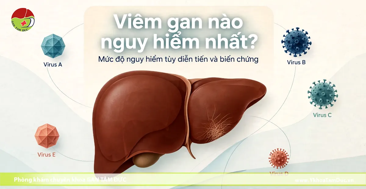 Viêm gan nào nguy hiểm nhất? So sánh A, B, C, D, E 1 Sơ đồ minh họa 5 chủng virus viêm gan A, B, C, D, E xung quanh hình mô phỏng nhu mô gan lành và vị trí gan bị tổn thương xơ hóa.